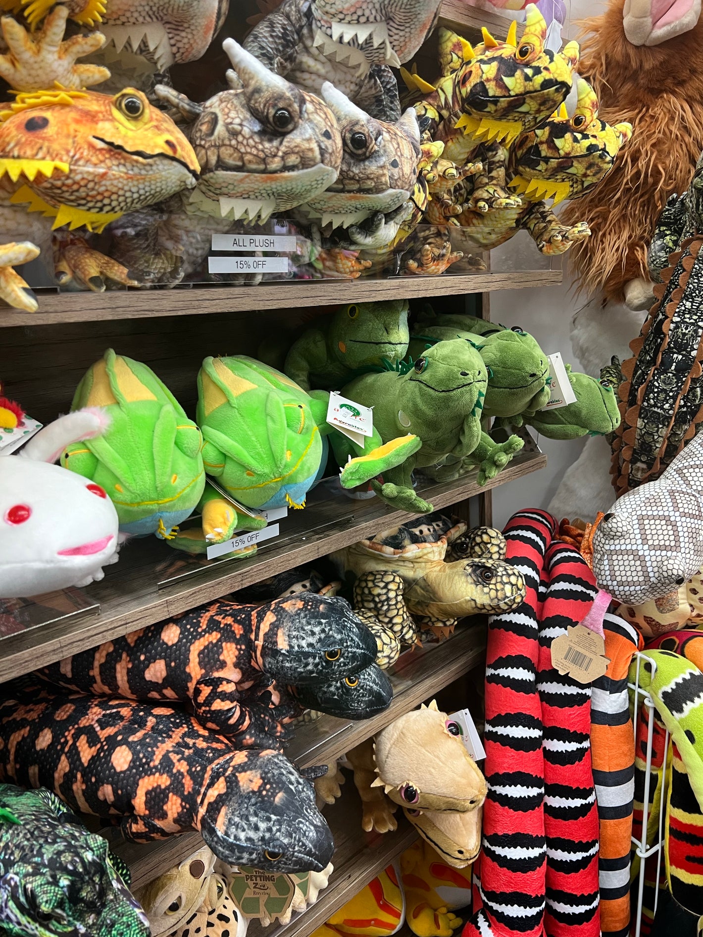 Reptile and Amphibian Collection