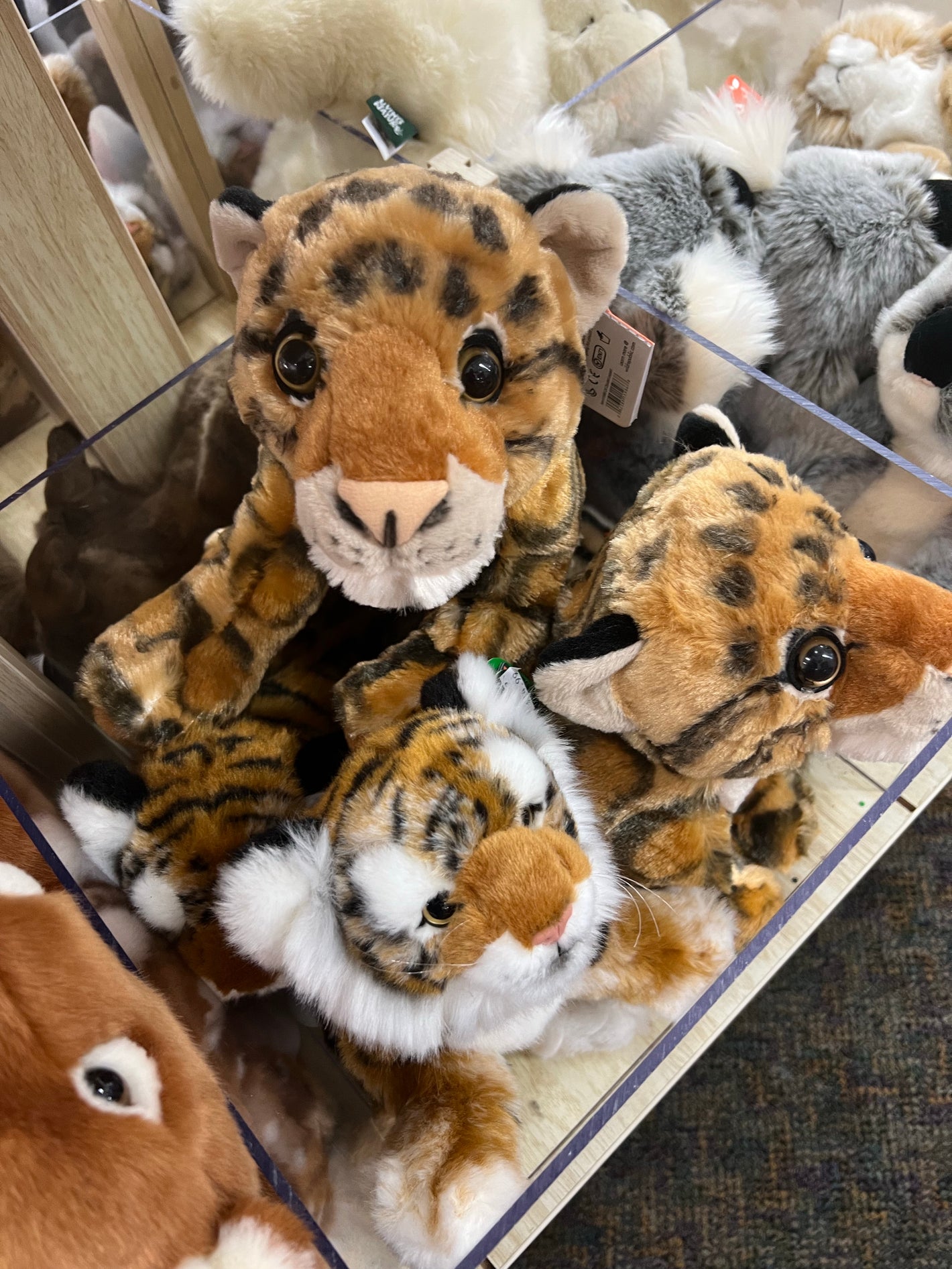 Stuffed Animals