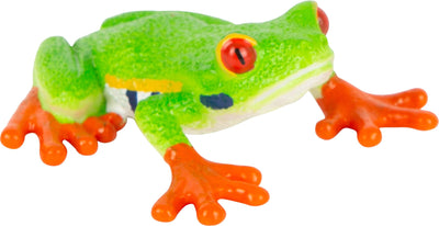 Mojo Red-Eyed Tree Frog