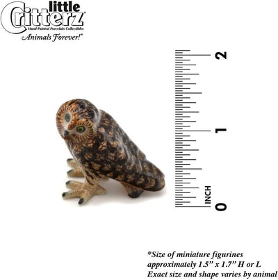 Little Critterz Evening Short Eared Owl