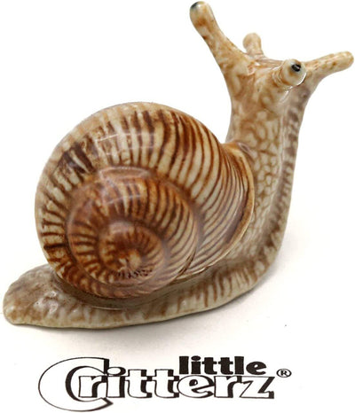 Little Critterz "Helix" Garden Snail LC532