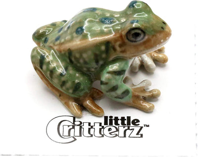 Little Critterz "Rana" Leopard Frog