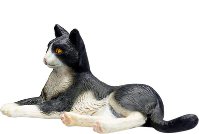 Mojo Cat Lying Black and White