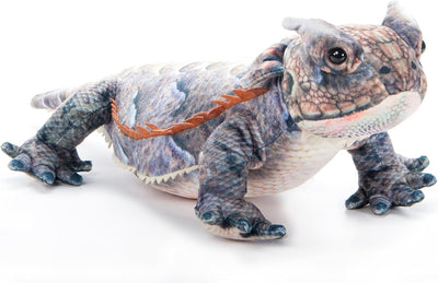 The Petting Zoo Horned Lizard