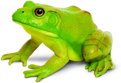 Safari Ltd. American Bullfrog Toy Figure