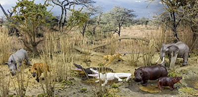 Safari Ltd. Alligator Figure