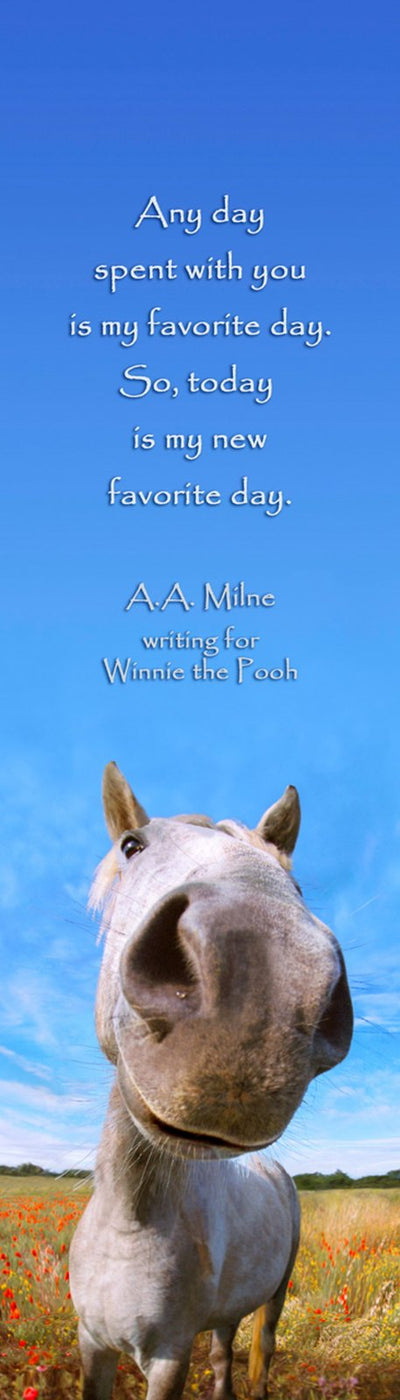 Authentic Cards Horse Nose BM  Pooh Quote