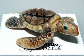 Little Critterz "Dream" Sea Turtle Baby