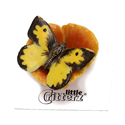 little Critterz California Dogface Buterfly