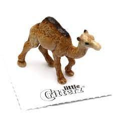 Little Critterz "Patient" Dromedary Camel