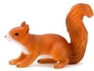 Mojo Red Squirrel