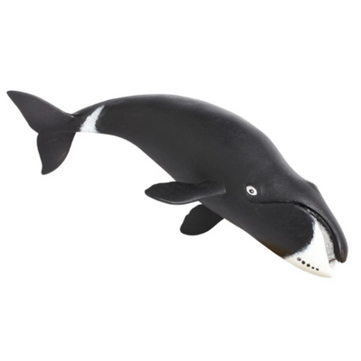 Safari Ltd. Bowhead Whale