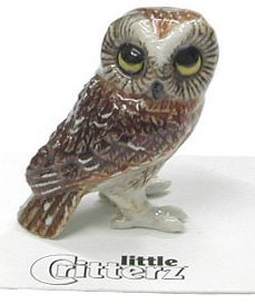 Little Critterz "Sawyer" Saw-whet Owl