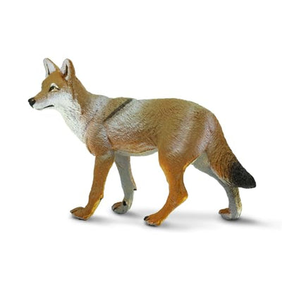 Safari Ltd. Coyote