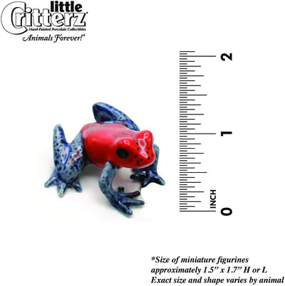 Little Critterz "Strawberry" Dart Frog
