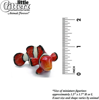 Little Critterz "Anemone" Clown Fish