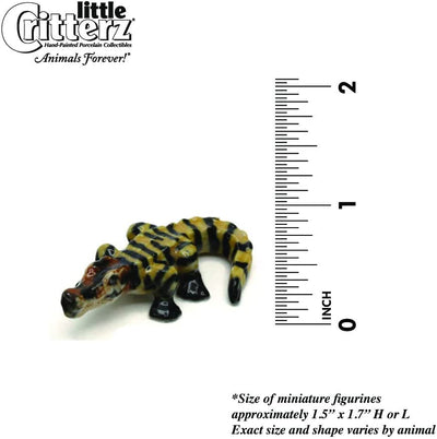 Little Critterz "Junior" American Alligator