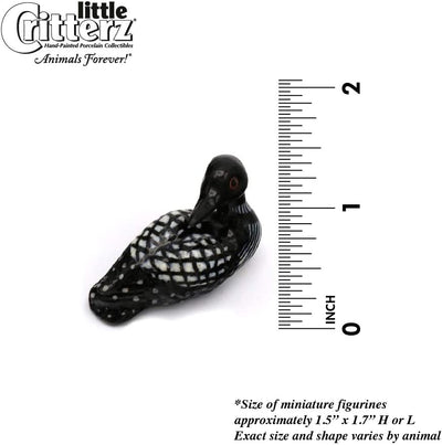Little Critterz "Gavia" Loon