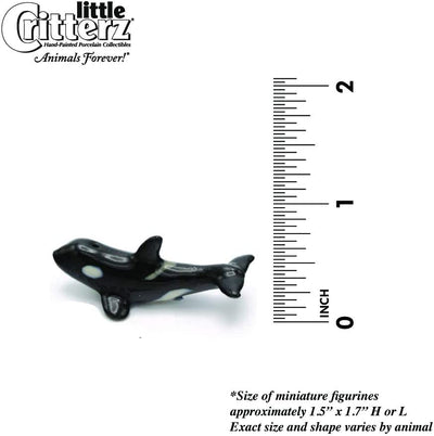 Little Critterz "Seawolf" Orca Killer Whale