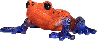 Mojo Poison Dart Tree Frog