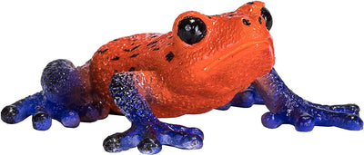 Mojo Poison Dart Tree Frog