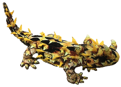 Texas Toy Distribution - Horned Lizard 21.65" Plush Stuffed Animal