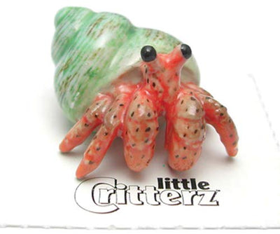 Little Critterz "Hermit" Crab
