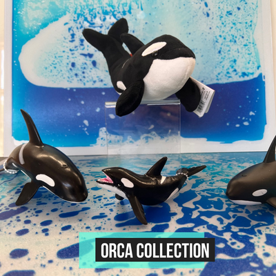 Orca Killer Whale Collection