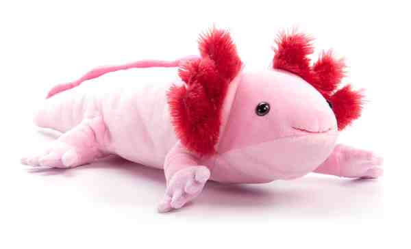 The Petting Zoo - 15" (39cm) Wild Onez Axolotl SM