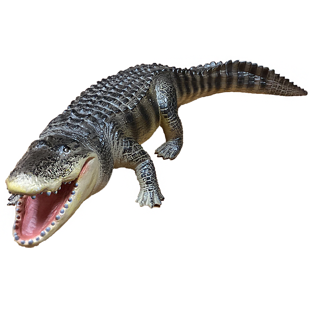 Texas Toy Distribution - Alligator 21" Vinyl Reptile Figurine Model