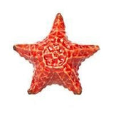 Little Critterz "Sea Star" Starfish Porcelain Figurine