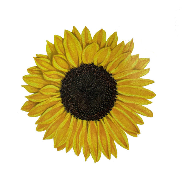 Sticker Art Sunflower Sticker