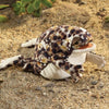Folkmanis Desert Rain Frog Puppet