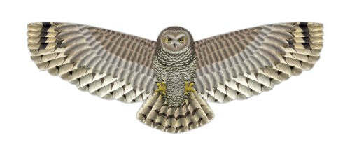 XKites Birds of Prey Owl Deluxe Nylon Kite, String, and Handle 48 Inch
