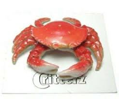 Little Critterz "Angeles" Dungeness Crab