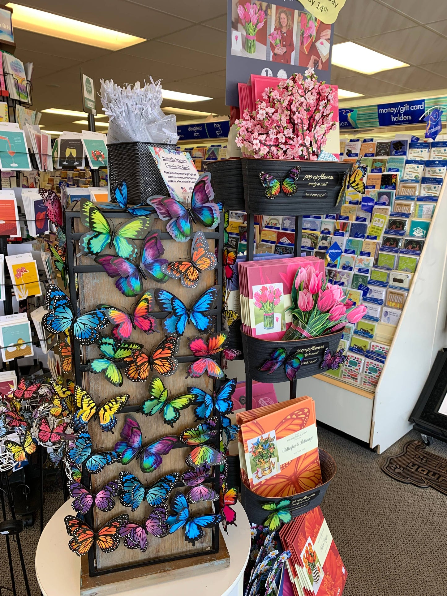 Flutter Gallery - Butterfly Magnet