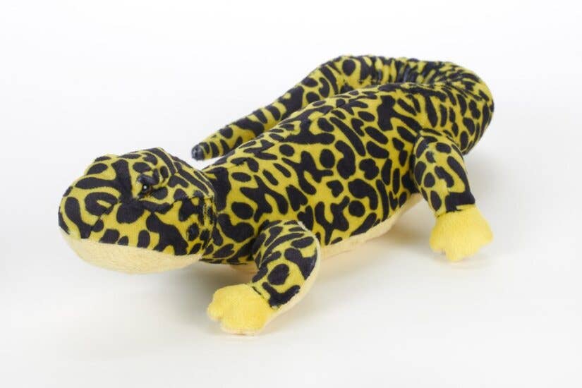 The Petting Zoo - 9" (22cm) Wild Onez Salamander SM