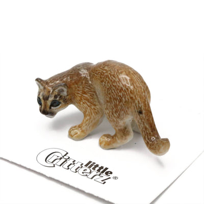 Little Critterz "Cheyenne" Cougar