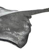 Safari Ltd. Sting Ray