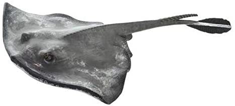 Safari Ltd. Sting Ray