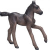 Mojo Arabian Black Foal