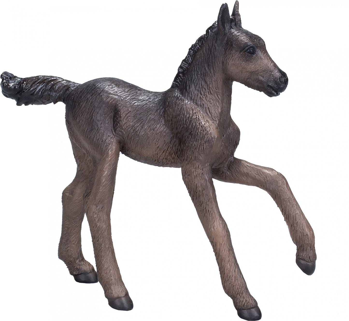 Mojo Arabian Black Foal