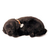 Perfect Petzzz - 10Original - Black Lab