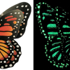 Flutter Gallery - Butterfly Magnet