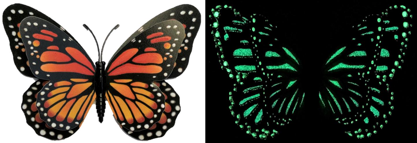 Flutter Gallery - Butterfly Magnet