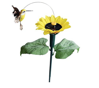 Solar Hummingbird Sunflower