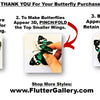 Flutter Gallery - Butterfly Magnet