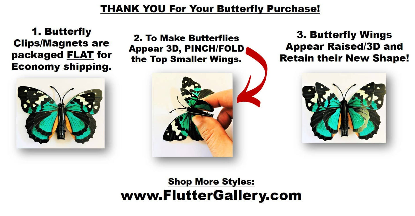 Flutter Gallery - Butterfly Magnet