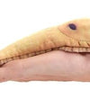 Finger Puppet Banana Slugs
