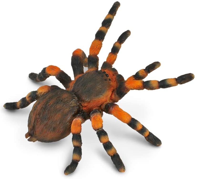 Collecta Mexican Redknee Tarantula